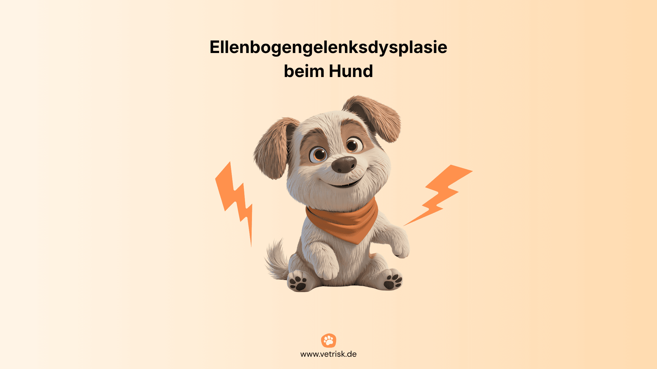 Finn, der VetRisk-Maskottchen-Hund, hält ein Vorderbein hoch –  ein typisches Zeichen für Lahmheit beim Hund, wie sie bei  Ellenbogengelenksdysplasie (ED) auftreten kann.