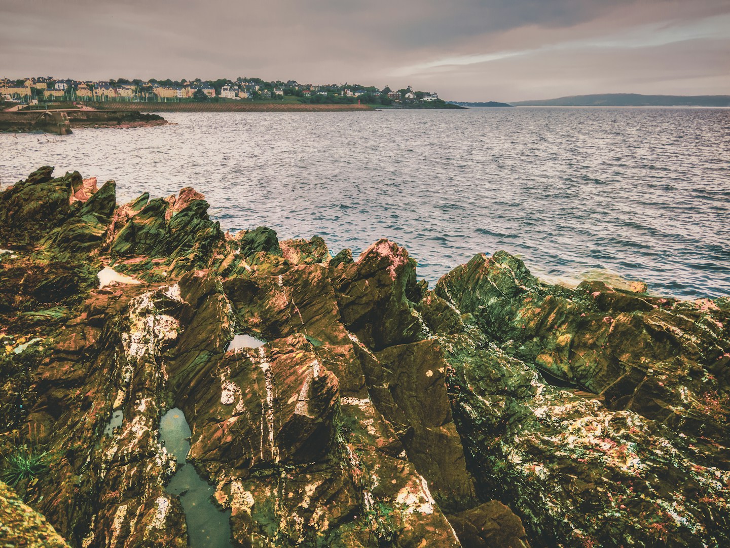 The shoreline Niamh forages for colour