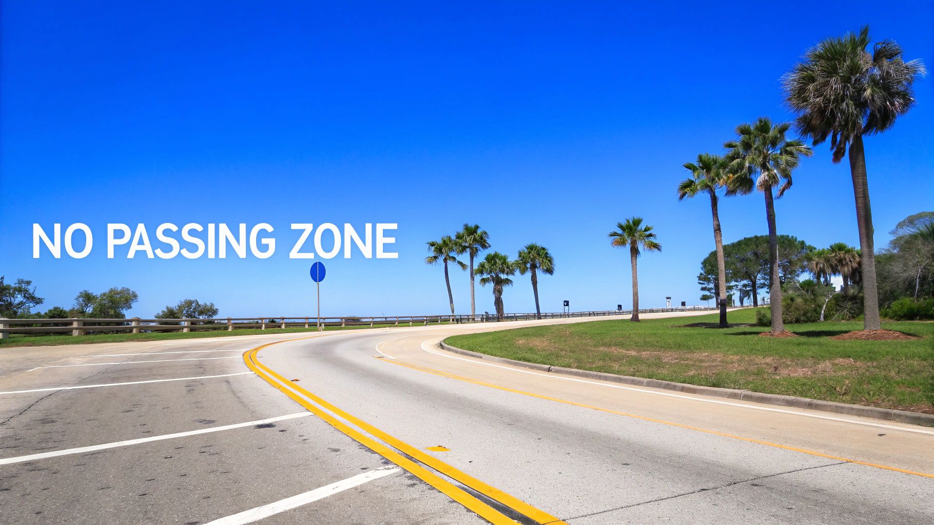 Winding road with a blue 'no passing zone' sign and palm trees under a bright blue sky.