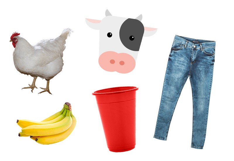 A chicken, cow, banana, plastic cup and pair of jeans.