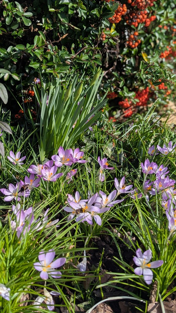 Third Street Promenade