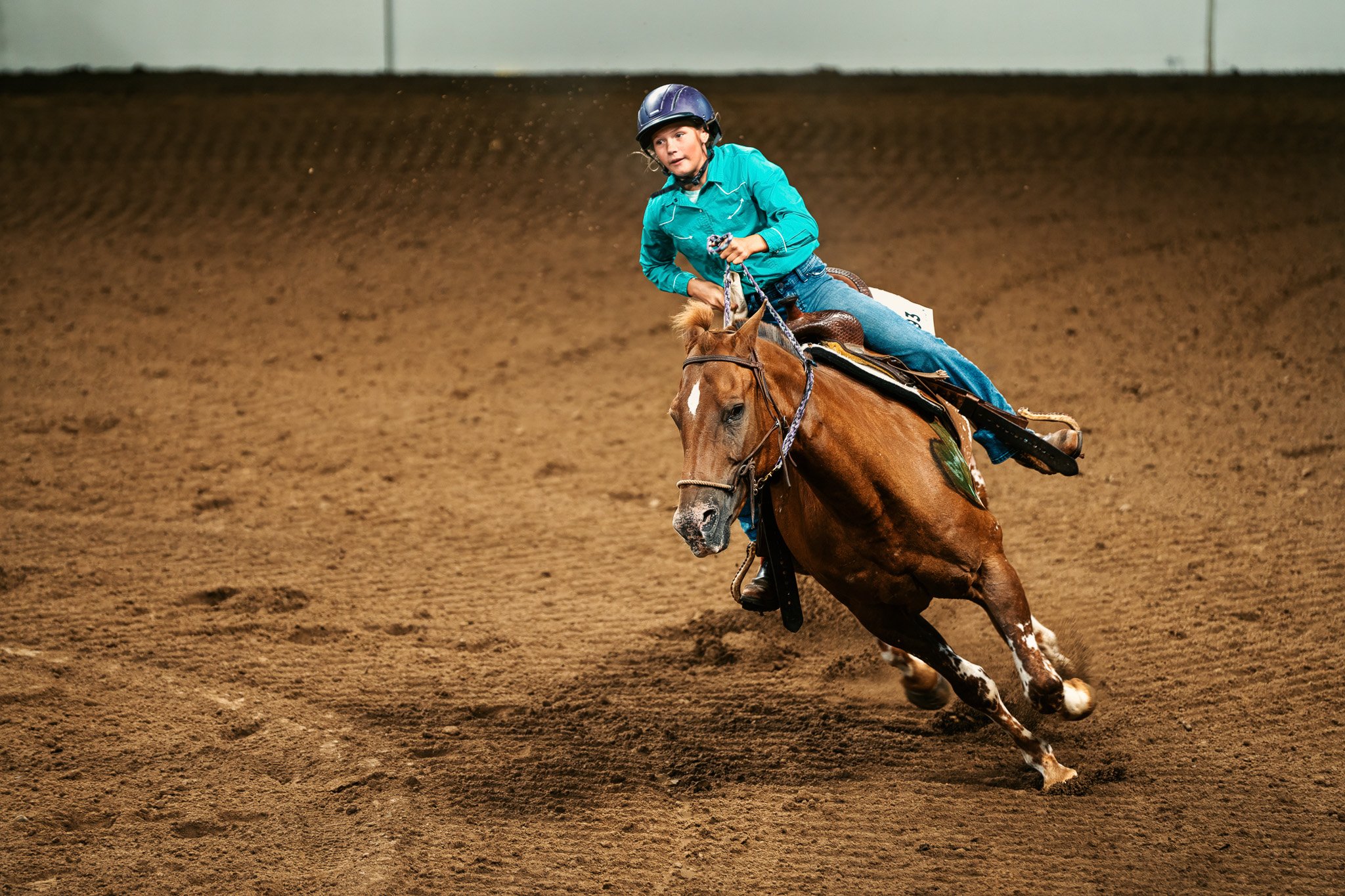 4H Horse Show At The Indiana State Fair 2024