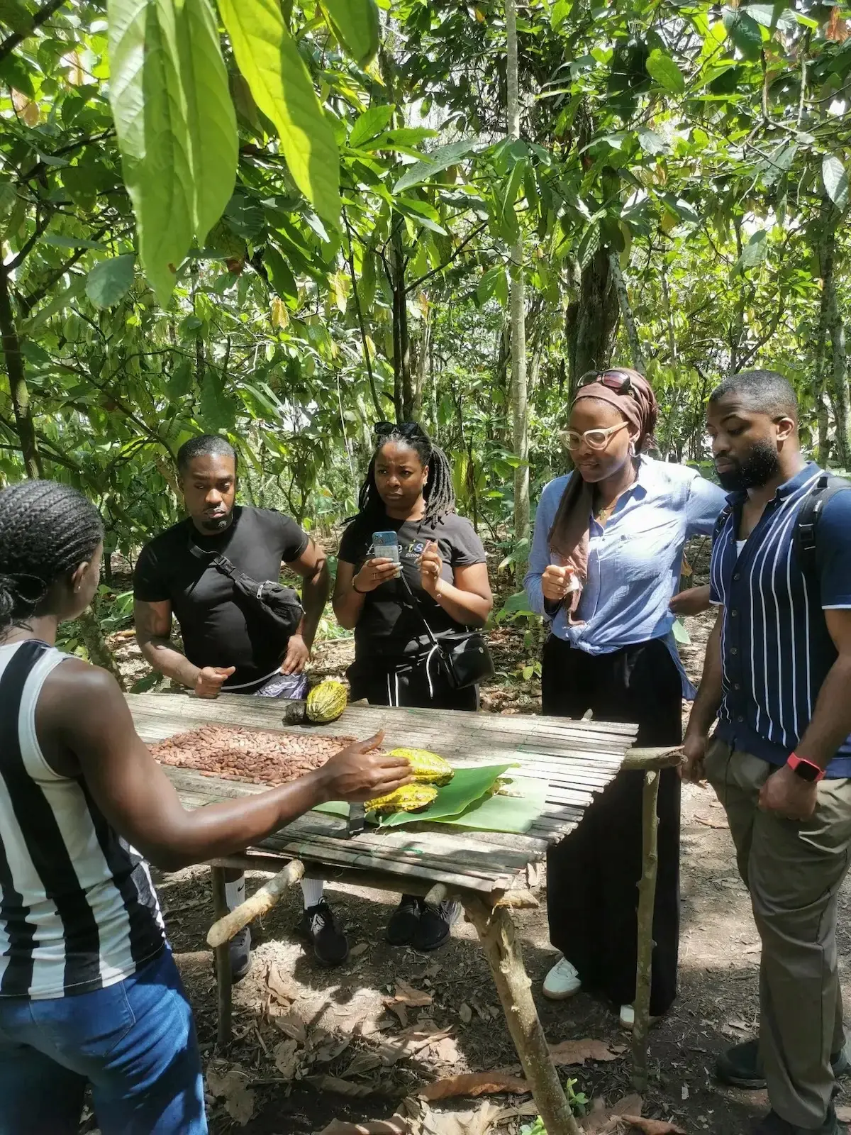 Travelers learn about cocoa production in Ghana’s Eastern Region during a Boti Falls nature tour.