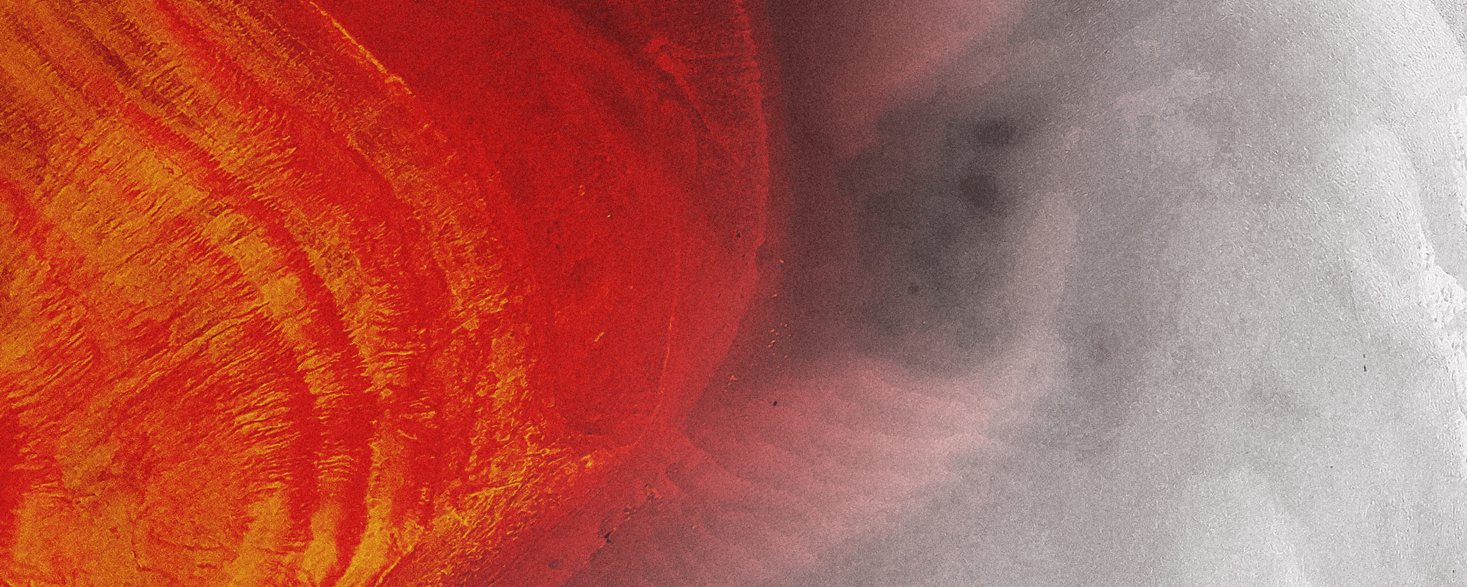 Himanshu Patil, Full Stack Developer at Canvs