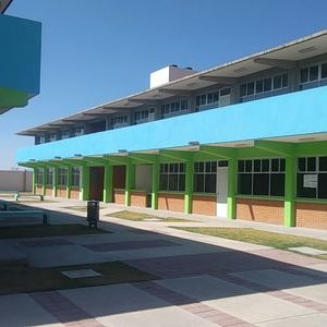 Concetrated triathlete grayscale