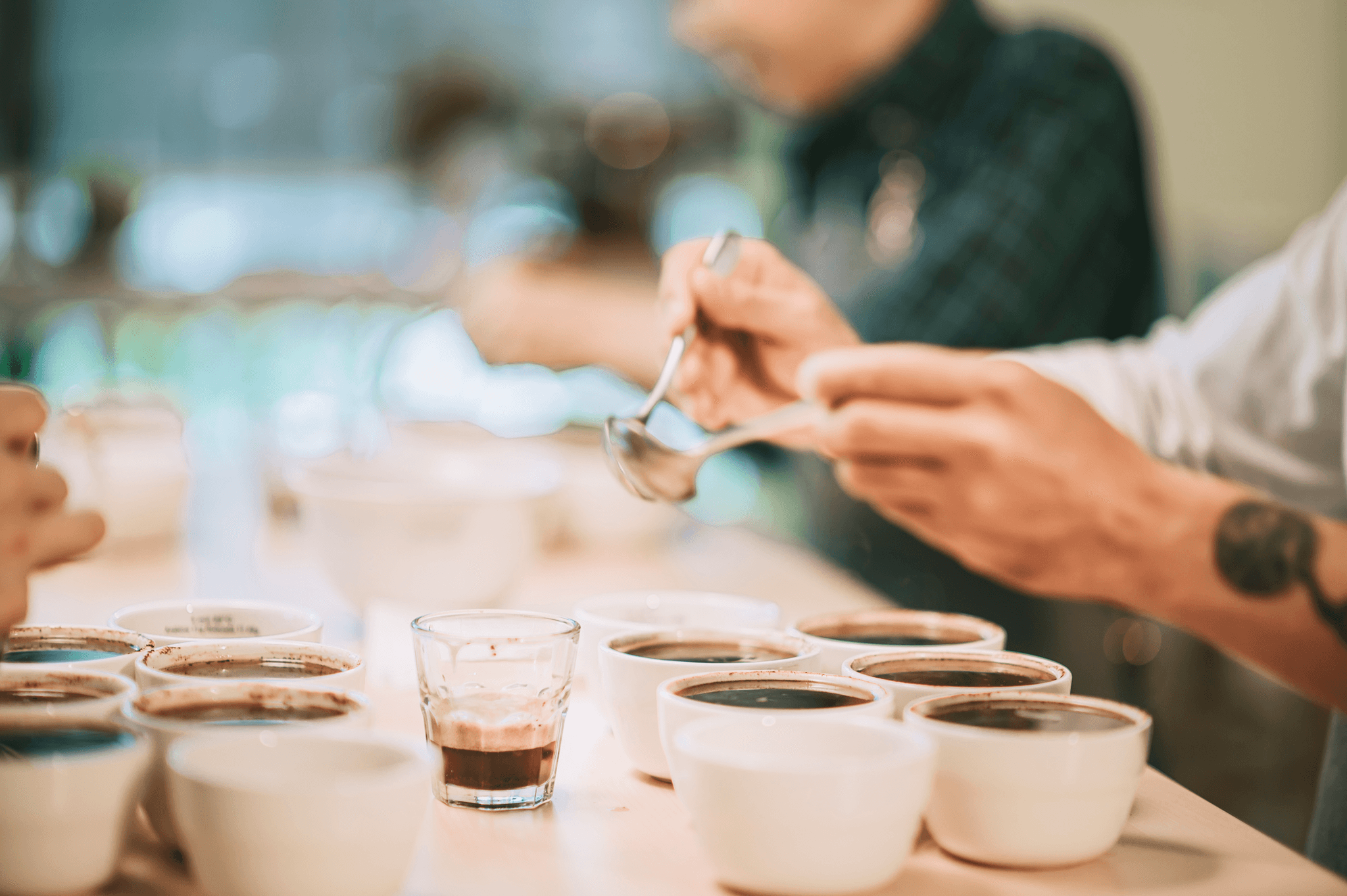 Hands at a coffee cupping table evaluating multiple bowls of brewed coffee, with a small glass sample in front; collaborative quality check.