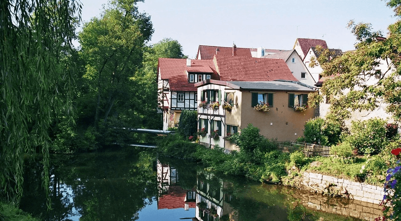 baumpflege Waiblingen 