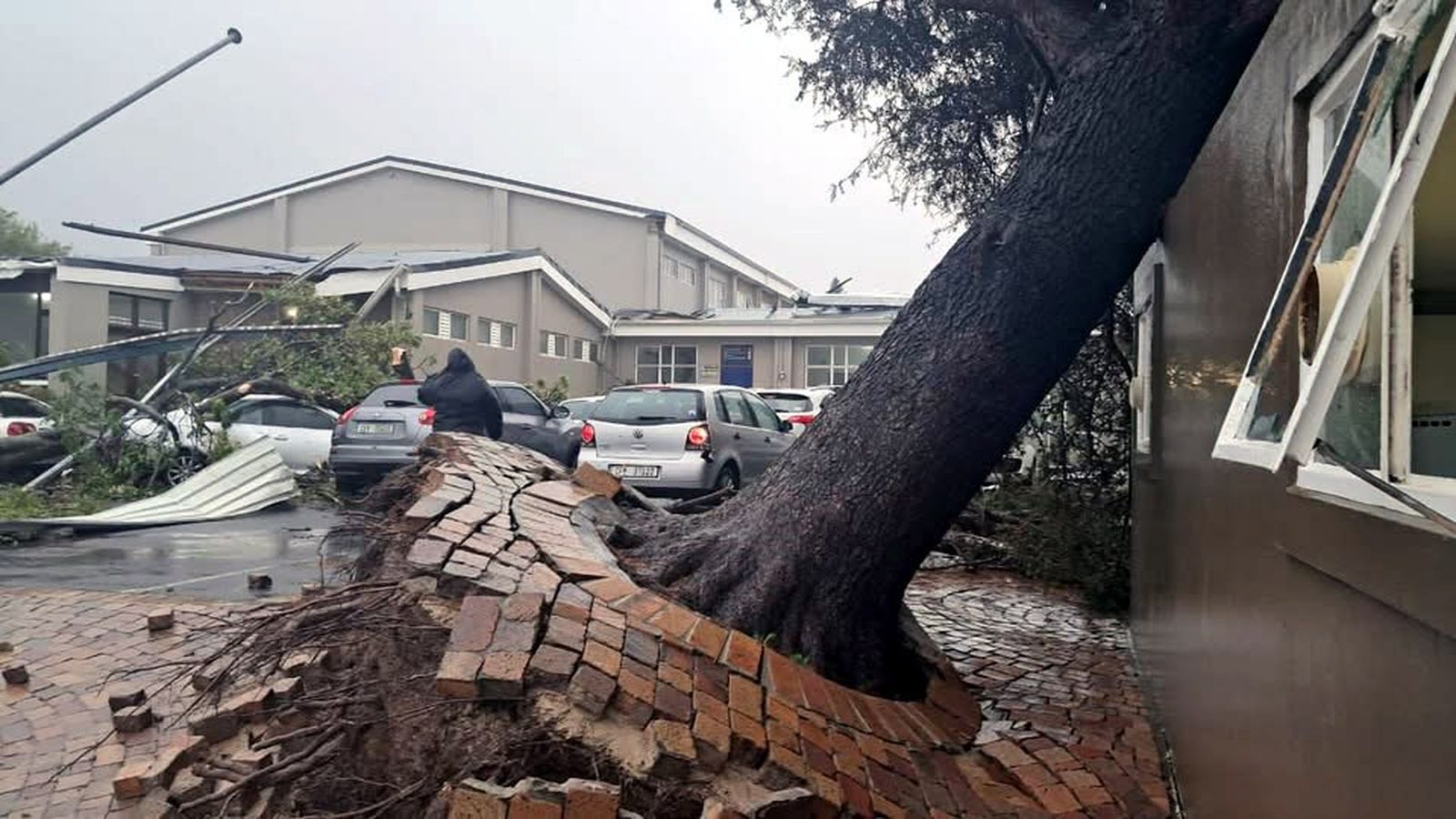 An uprooted tree leaning against a wet building with damaged brickwork attached above its roots.