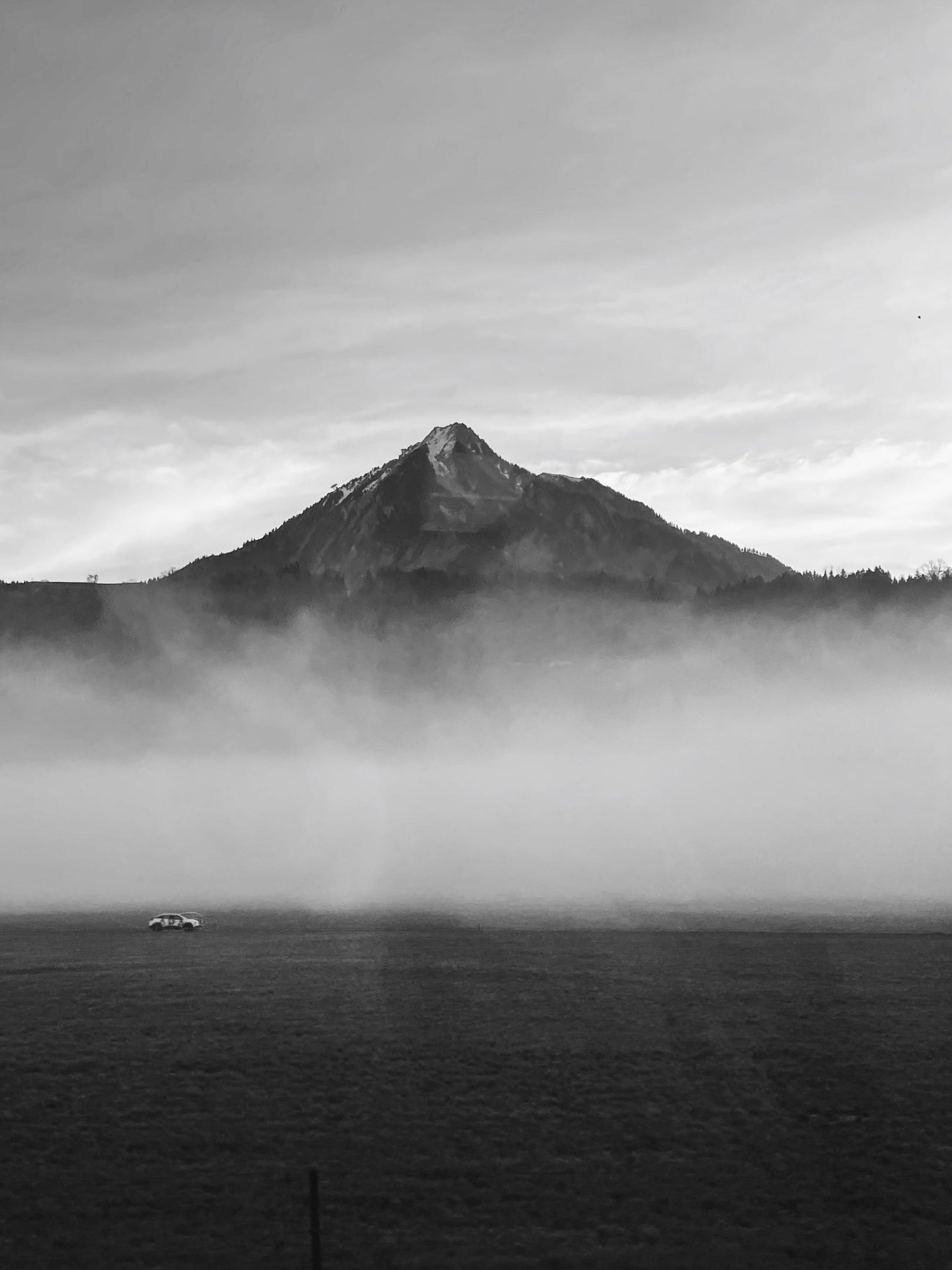Urban Street Fashion Portrait