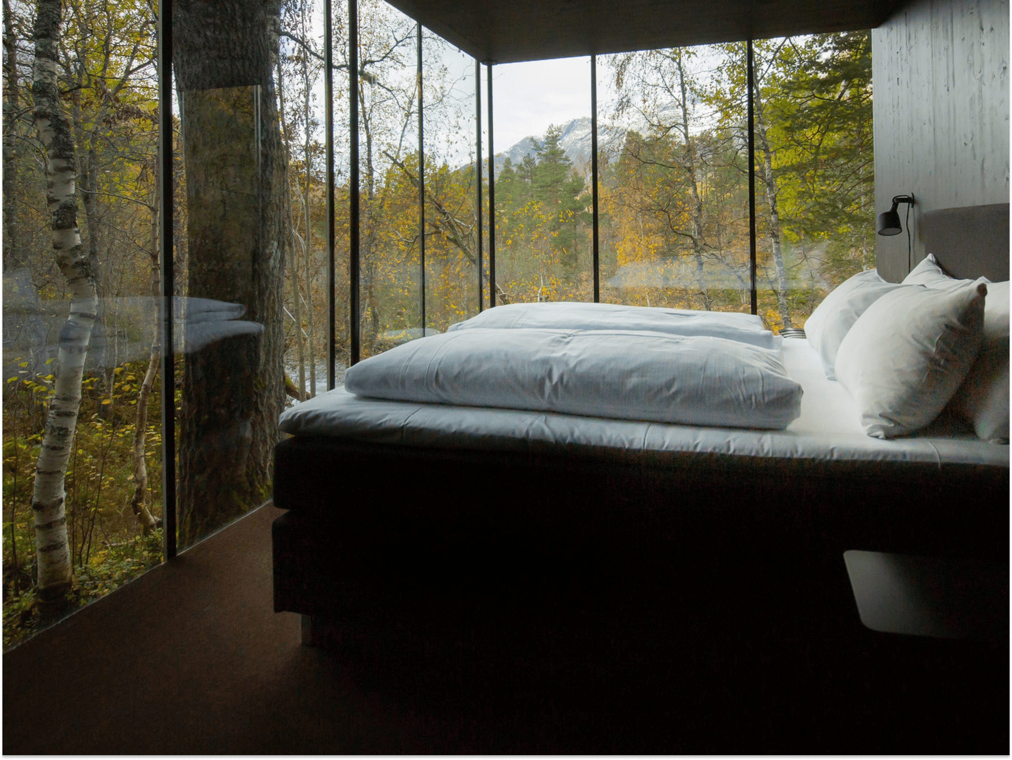 A bed in a glass cabin with a forest view