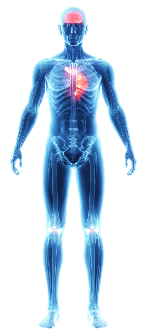 Visual representation of a comprehensive health assessment as part of an executive physical.