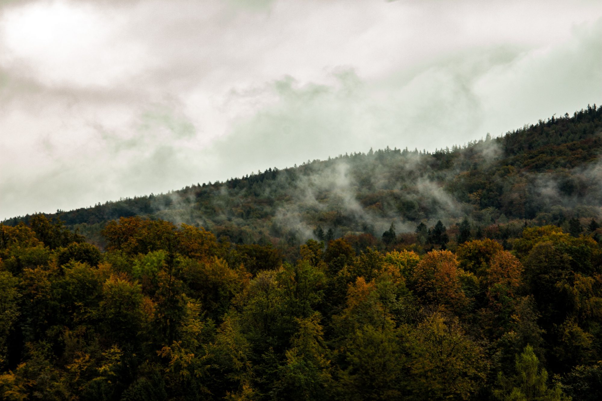 A misty mountain landscape with clouds hovering over lush greenery.