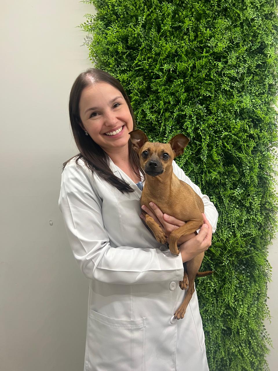selective focus photography of orange and white cat on brown table