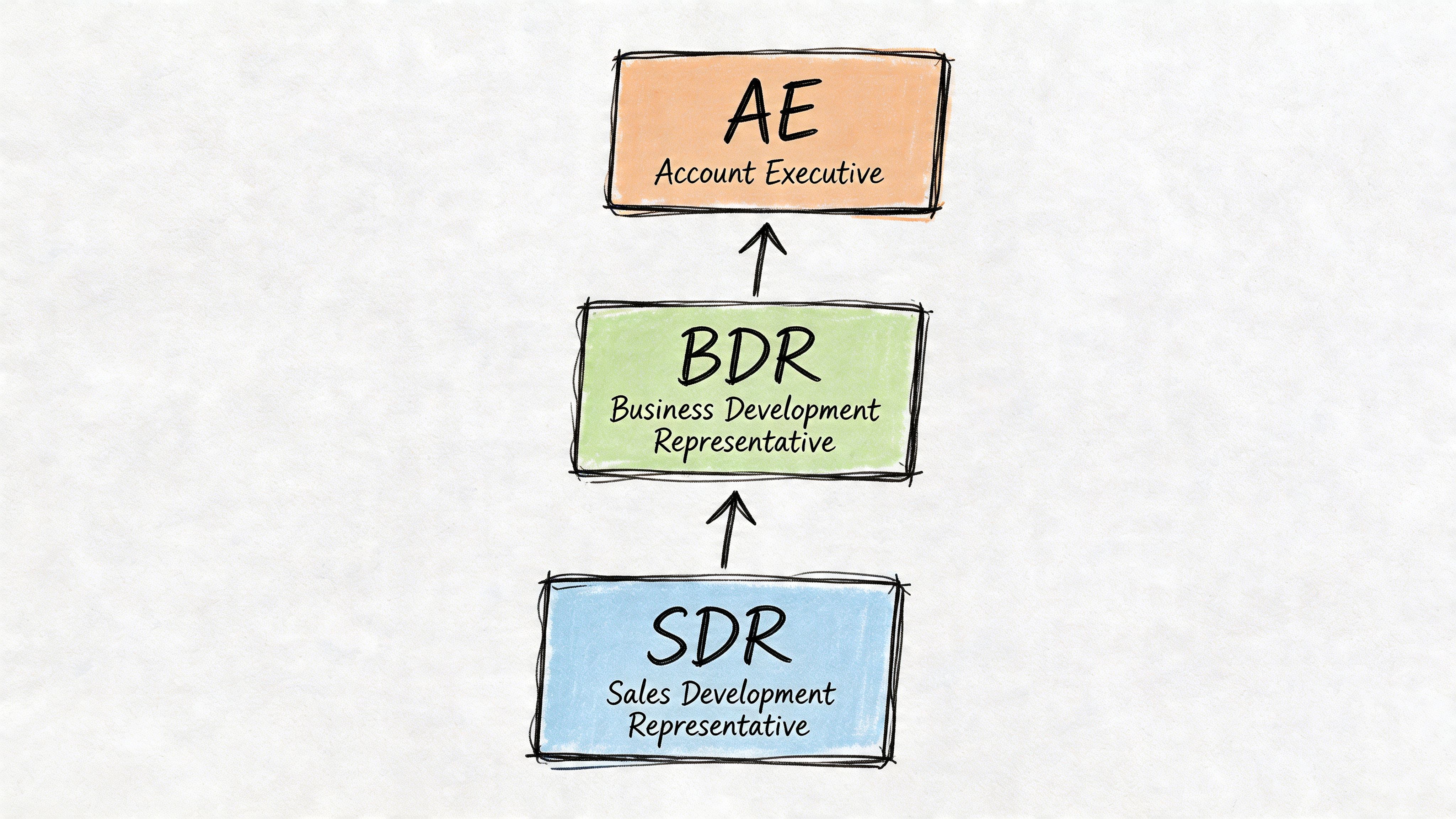 A diagram illustrating the sales process hierarchy with an SDR, BDR, and AE in stacked boxes.