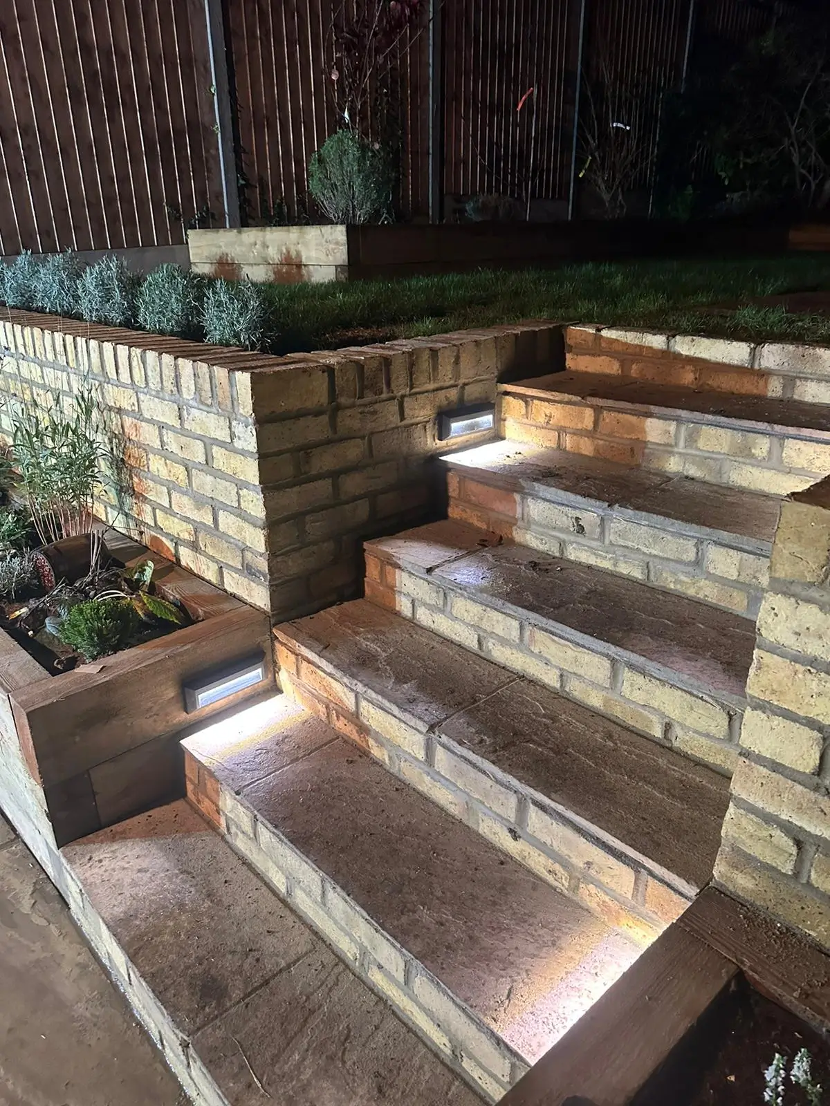 Illuminated outdoor stairs with planters, showcasing modern design and greenery.