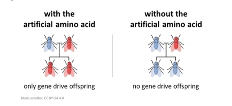  /><figcaption><span class=