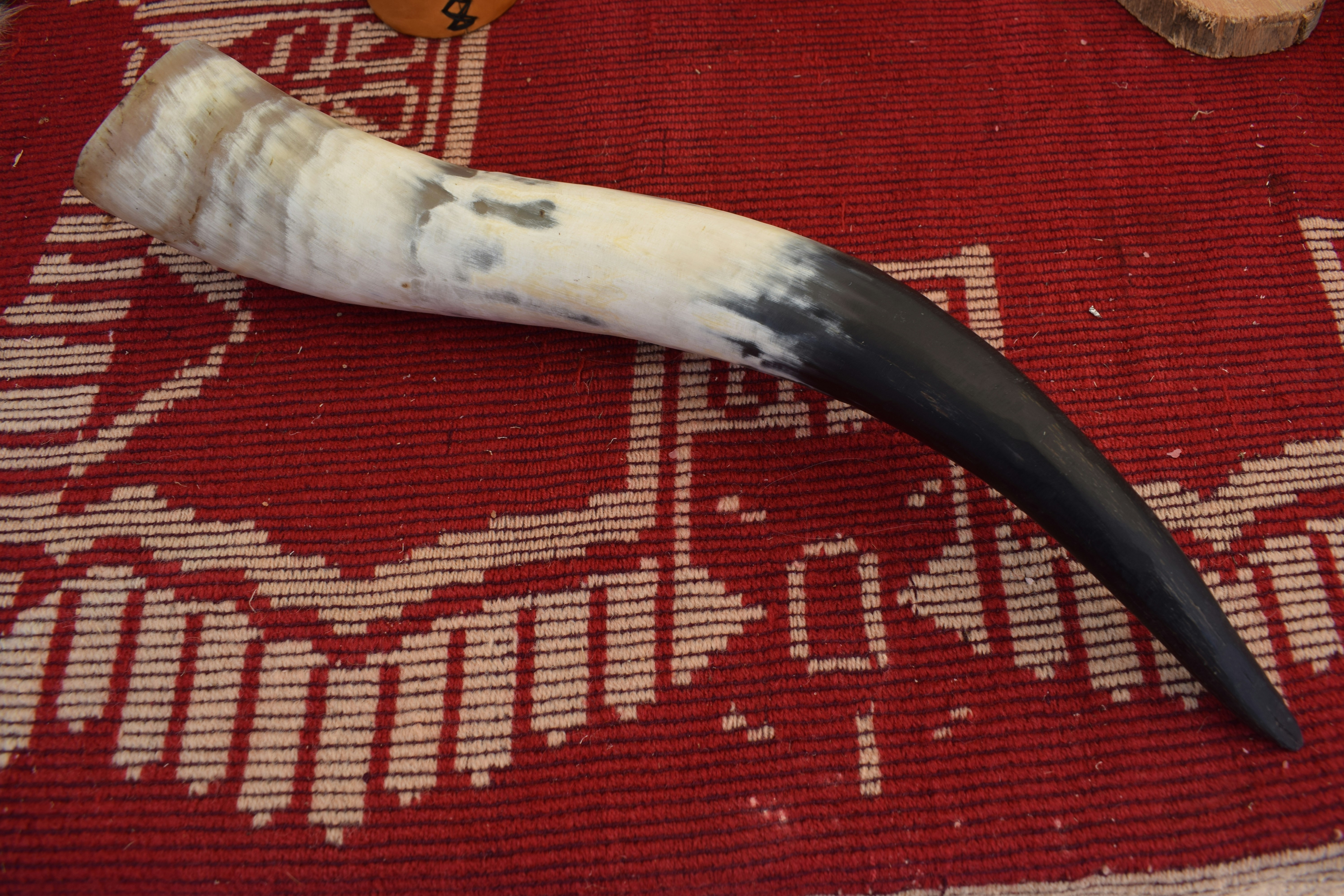 Viking drinking horn placed on a red-patterned rug.