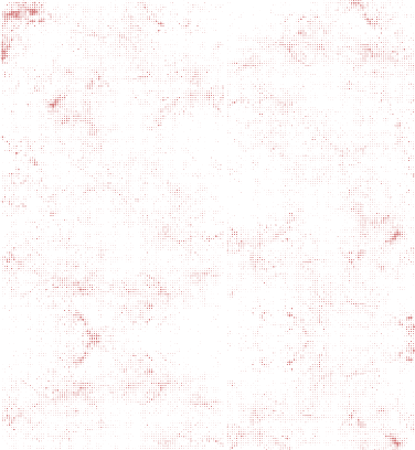 BG Grain