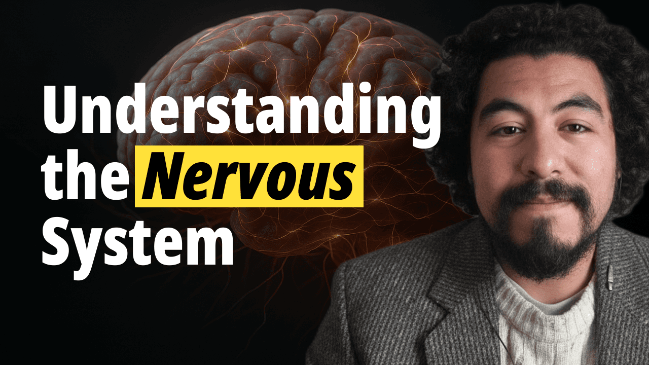 Cesar understanding the Nerevous System