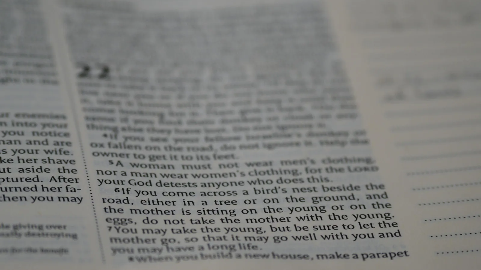 Cholesterol-to-HDL Ratio Explained: A Better Way to Read Your Lipids