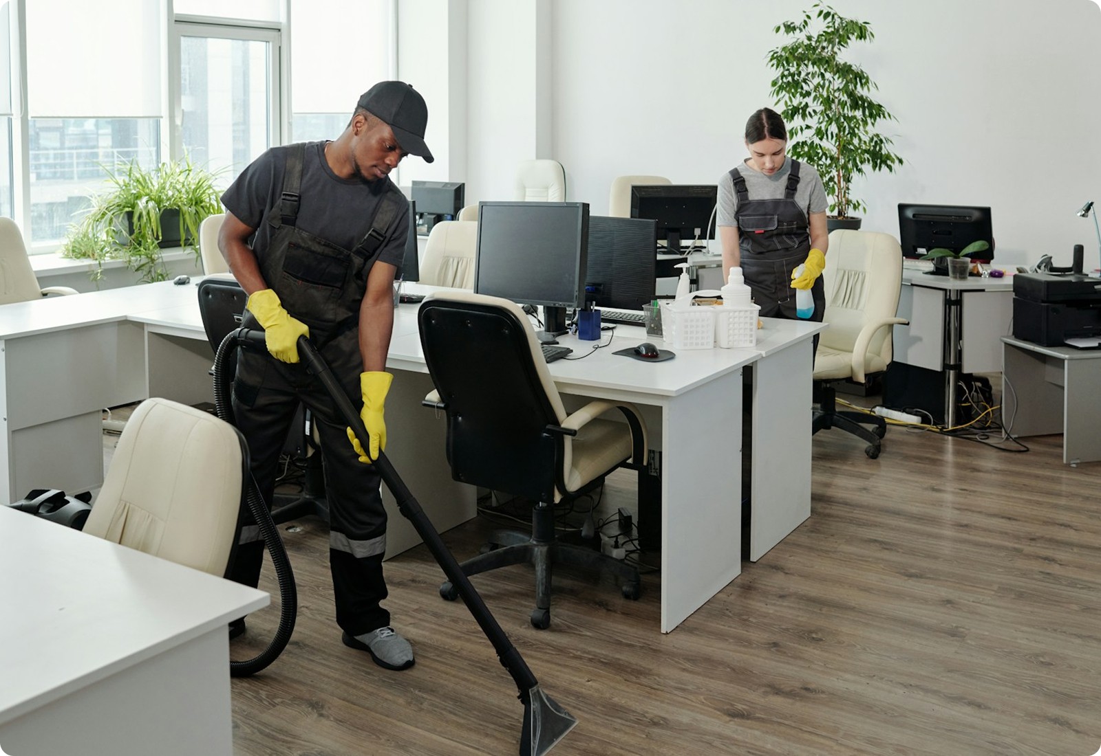 Cleani