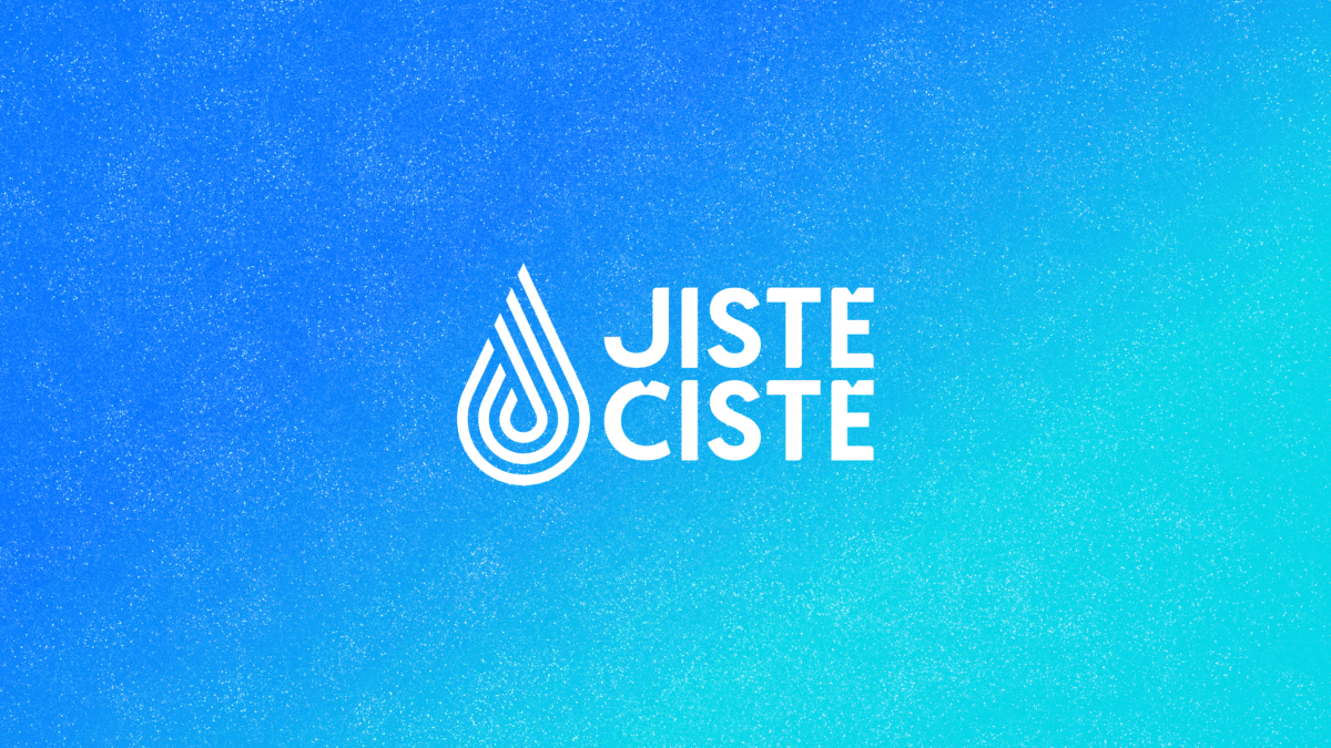 Primary Raster logo