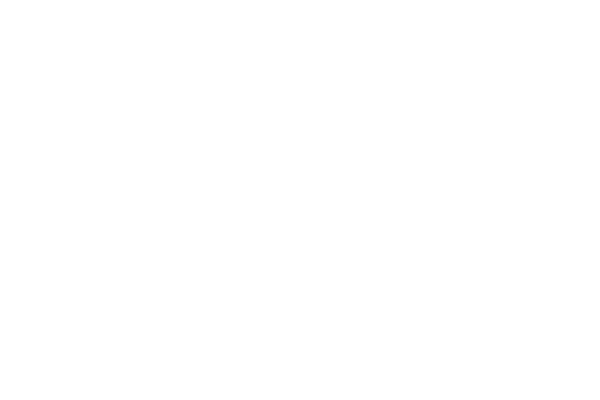 Logo for an imagined company