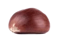 καρπός κάστανο