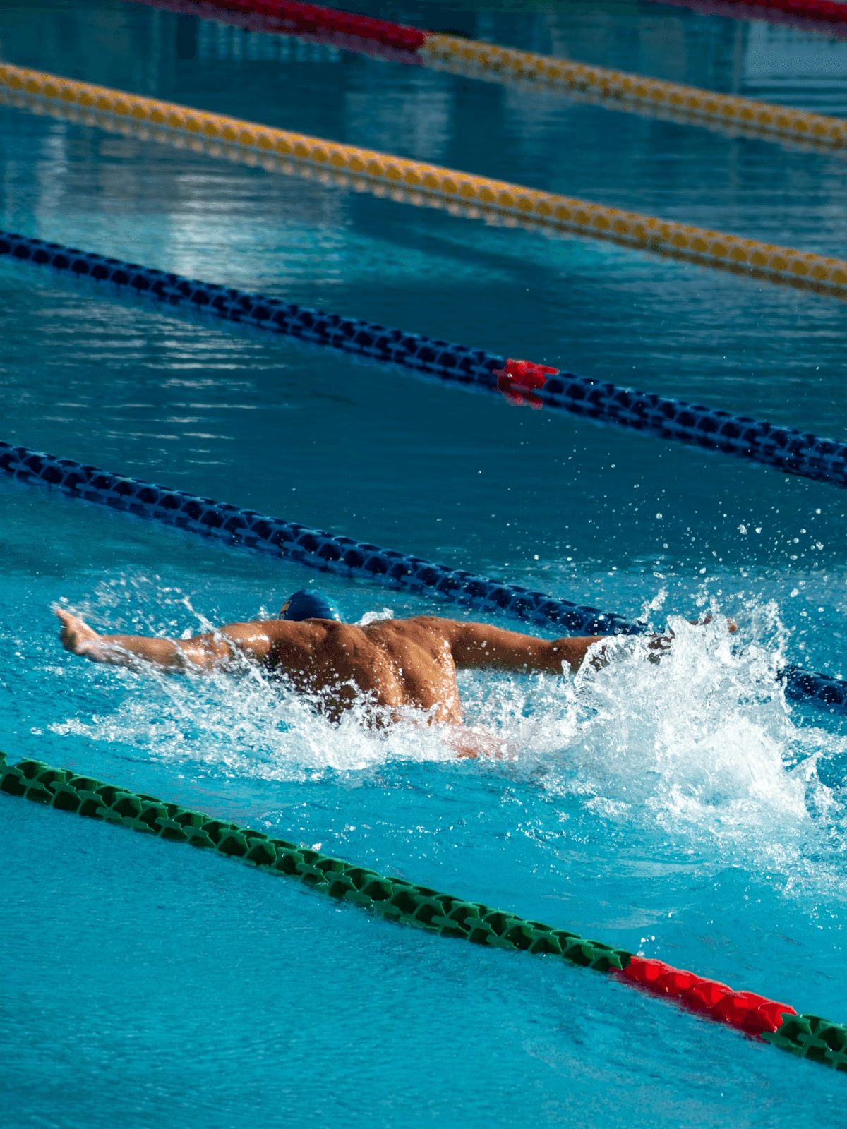 person swimming butterfly