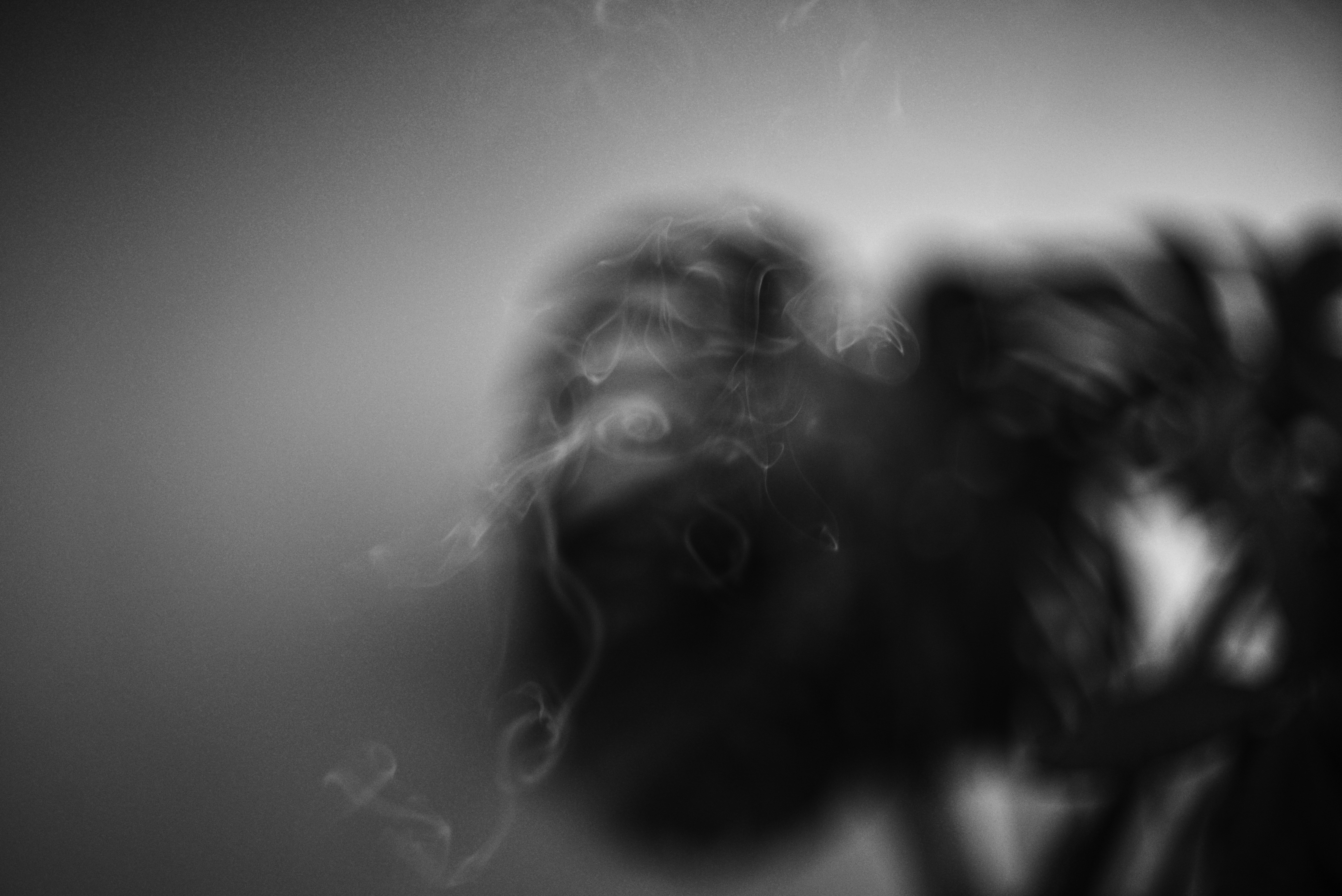 A black and white photo of a flower