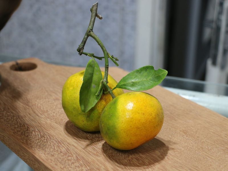 Bergamotto