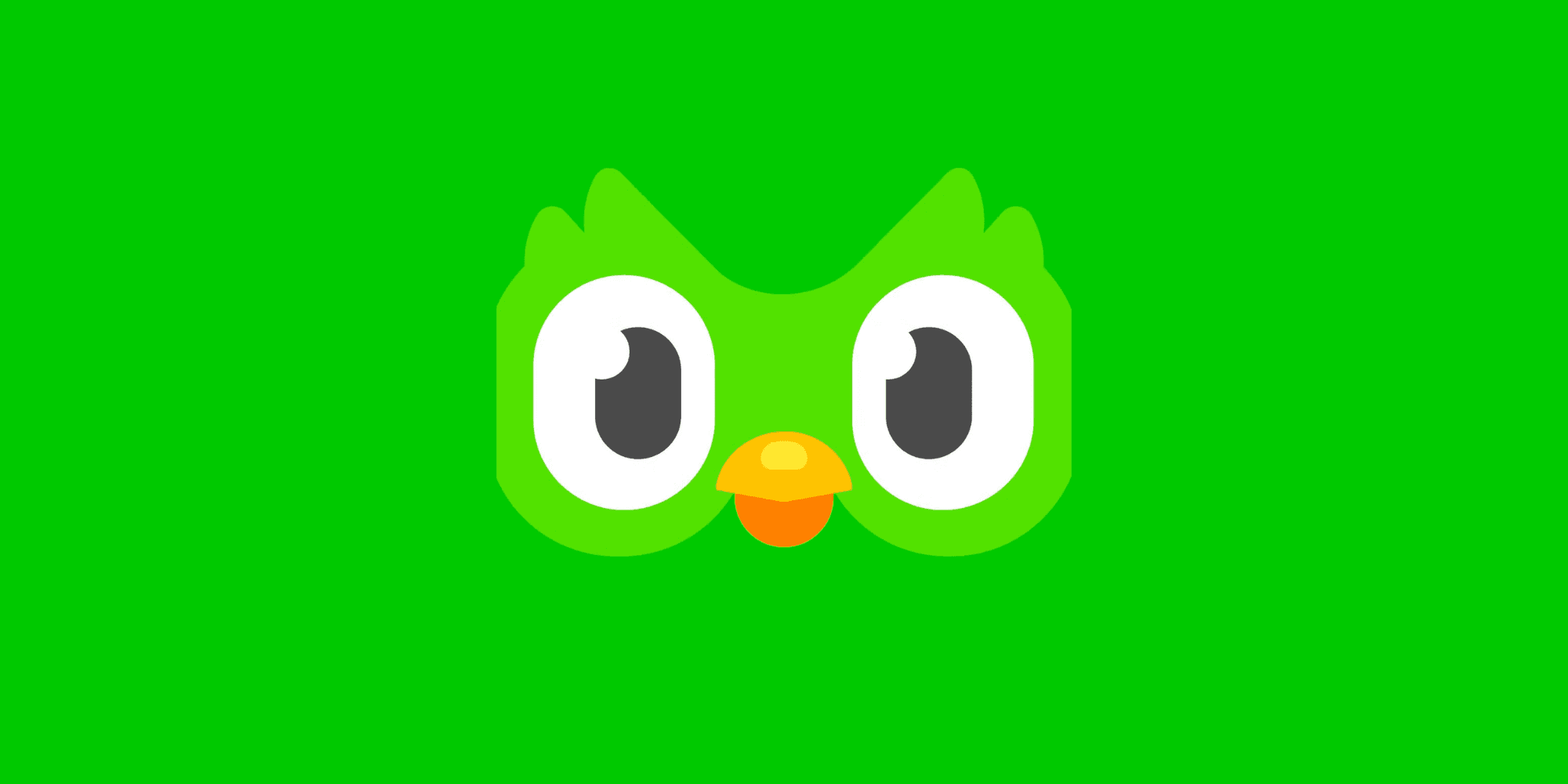 Duolingo Logo