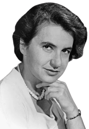 Rosalind Franklin, a pioneering chemist and X-ray crystallographer, is depicted in this black-and-white portrait with a thoughtful expression, resting her chin on her hand and wearing a pearl necklace. Renowned for her critical contributions to understanding the structure of DNA, Franklin's work was instrumental in revealing the double-helix formation.