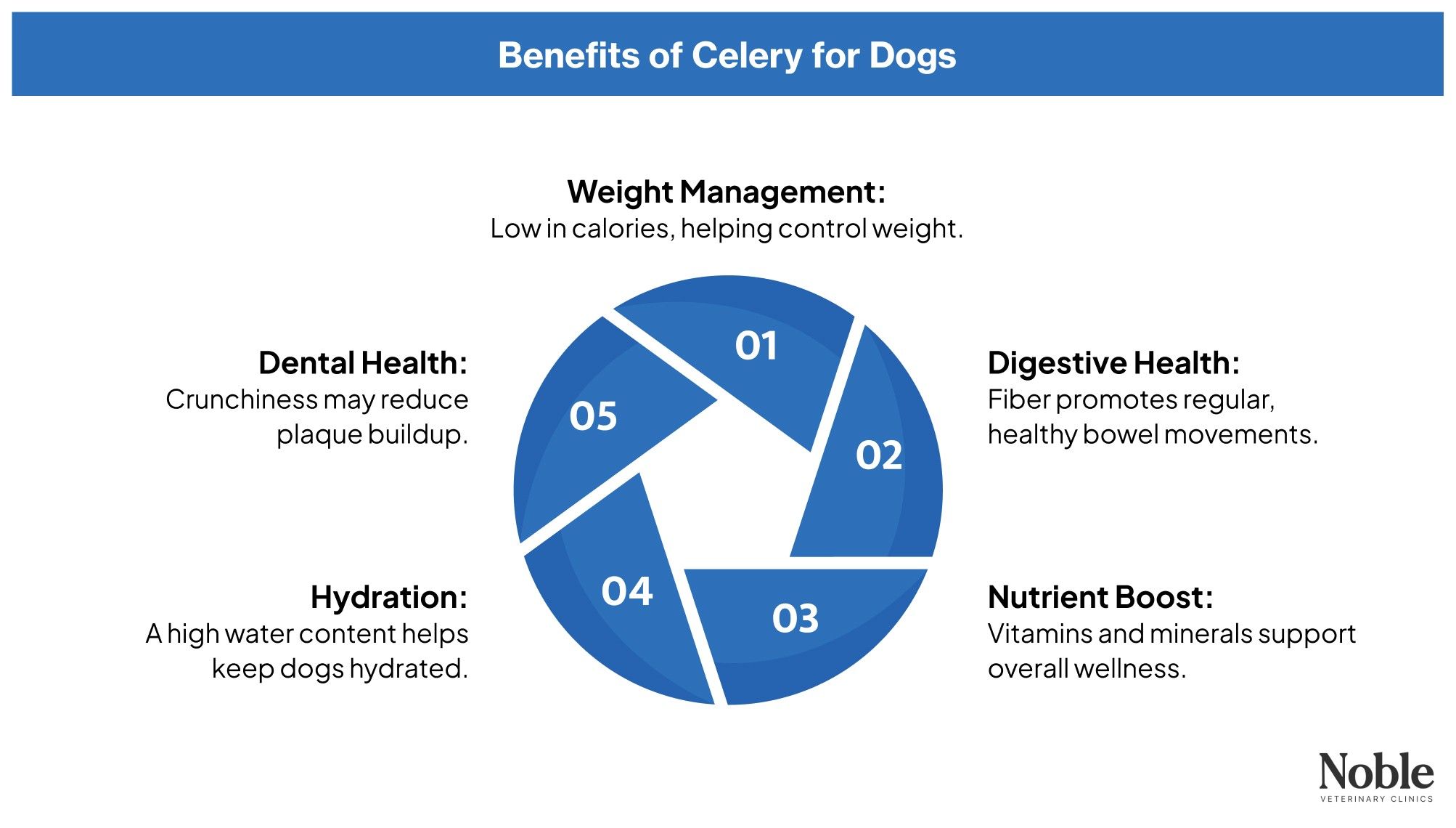 Infographic displaying benefits of celery to dogs.
