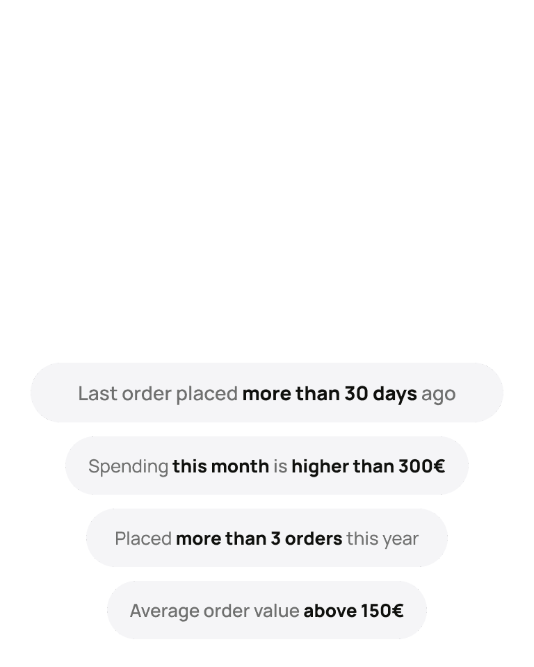 Visual depicting segmentation filters that enable VibeCart customers to segment and target their messaging.
