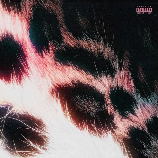 Cover singlu BB od guapanova, Smolki13K