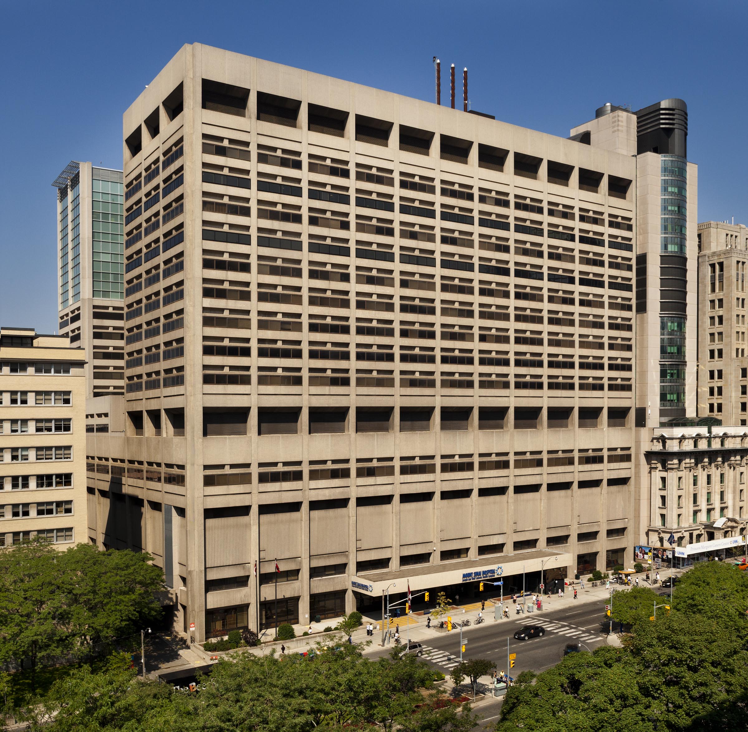 A picture of Mount Sinai