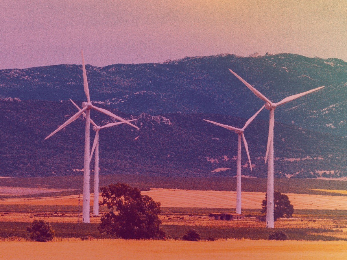 landscape photography of grass field with windmills under orange sunset