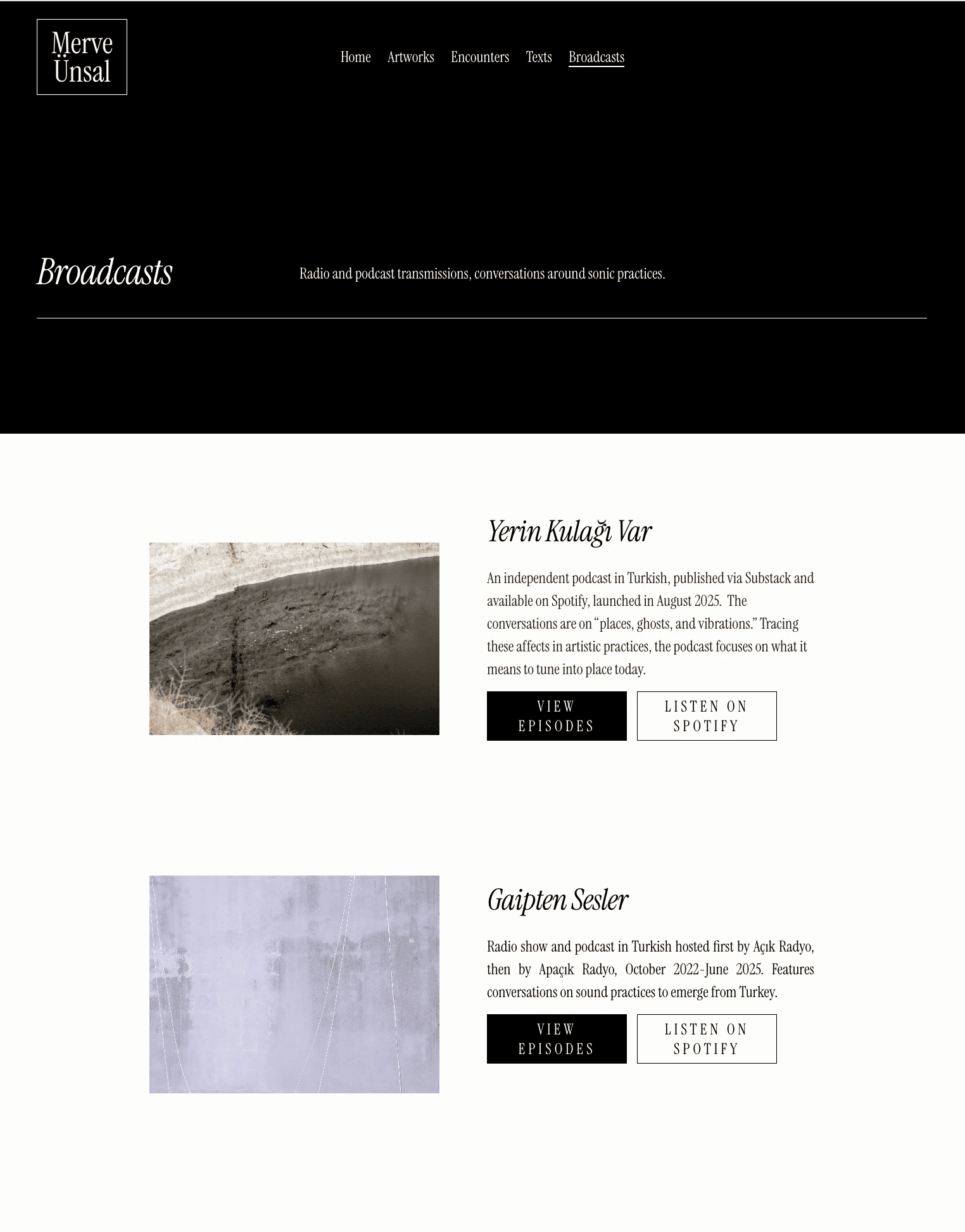 Multipage display of website design