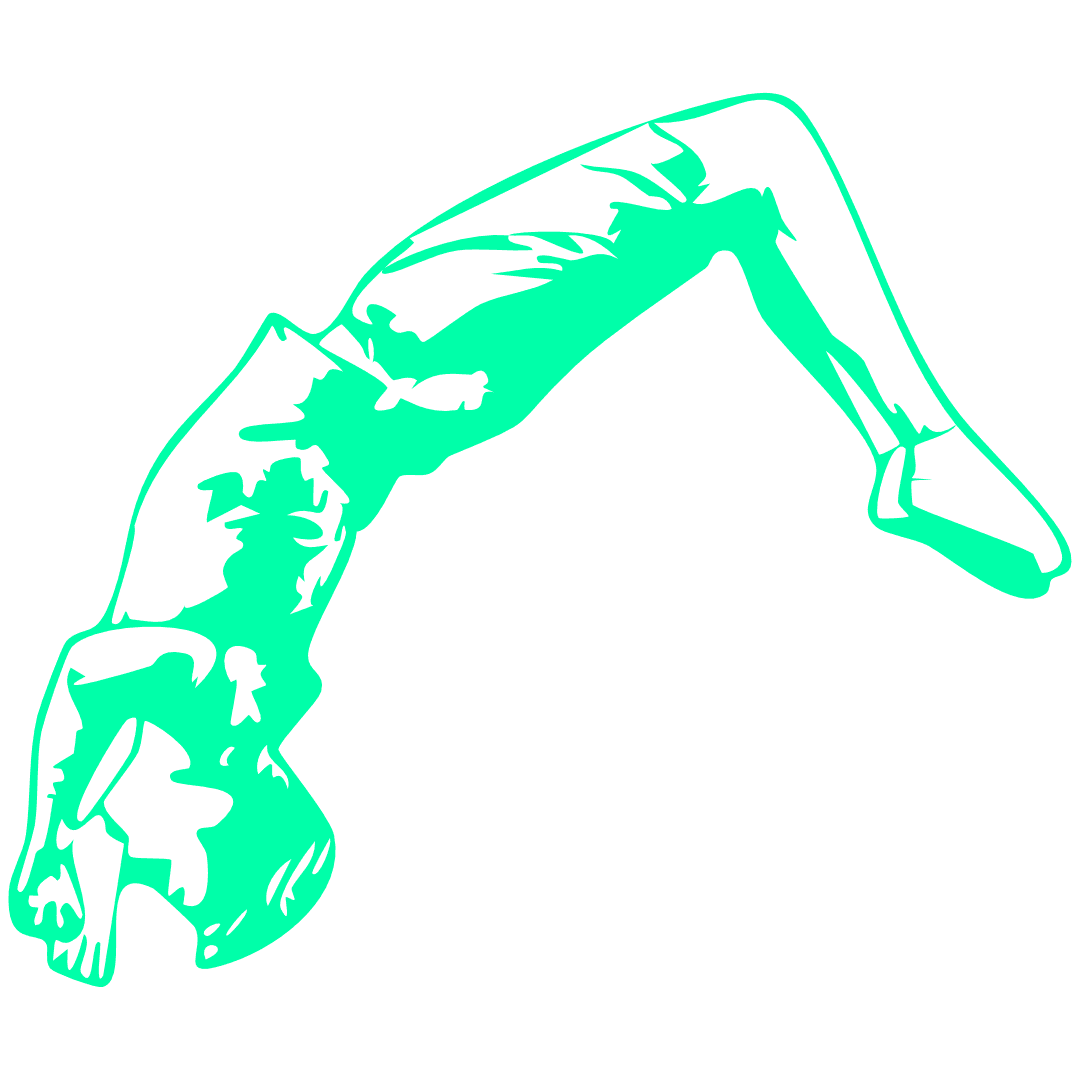 temppukurssi.fi logo