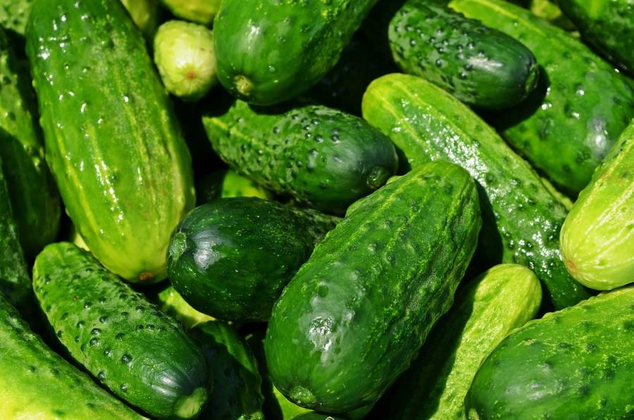 Cetrioli: calori e valori nutritivi