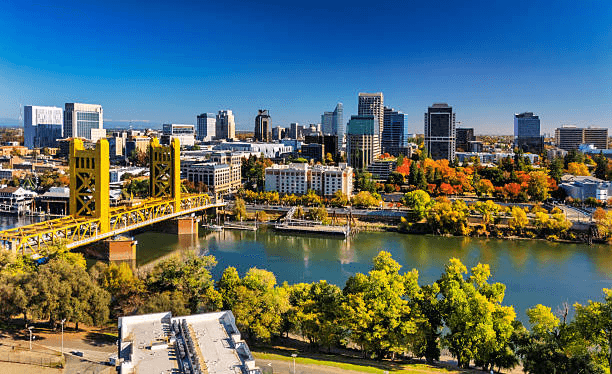 High school student in Sacramento conducting original research with a university mentor online