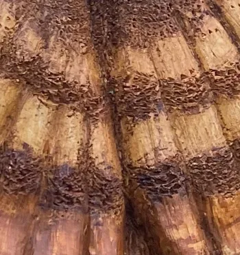 marble and iron resin forming stipey effect on owls wings