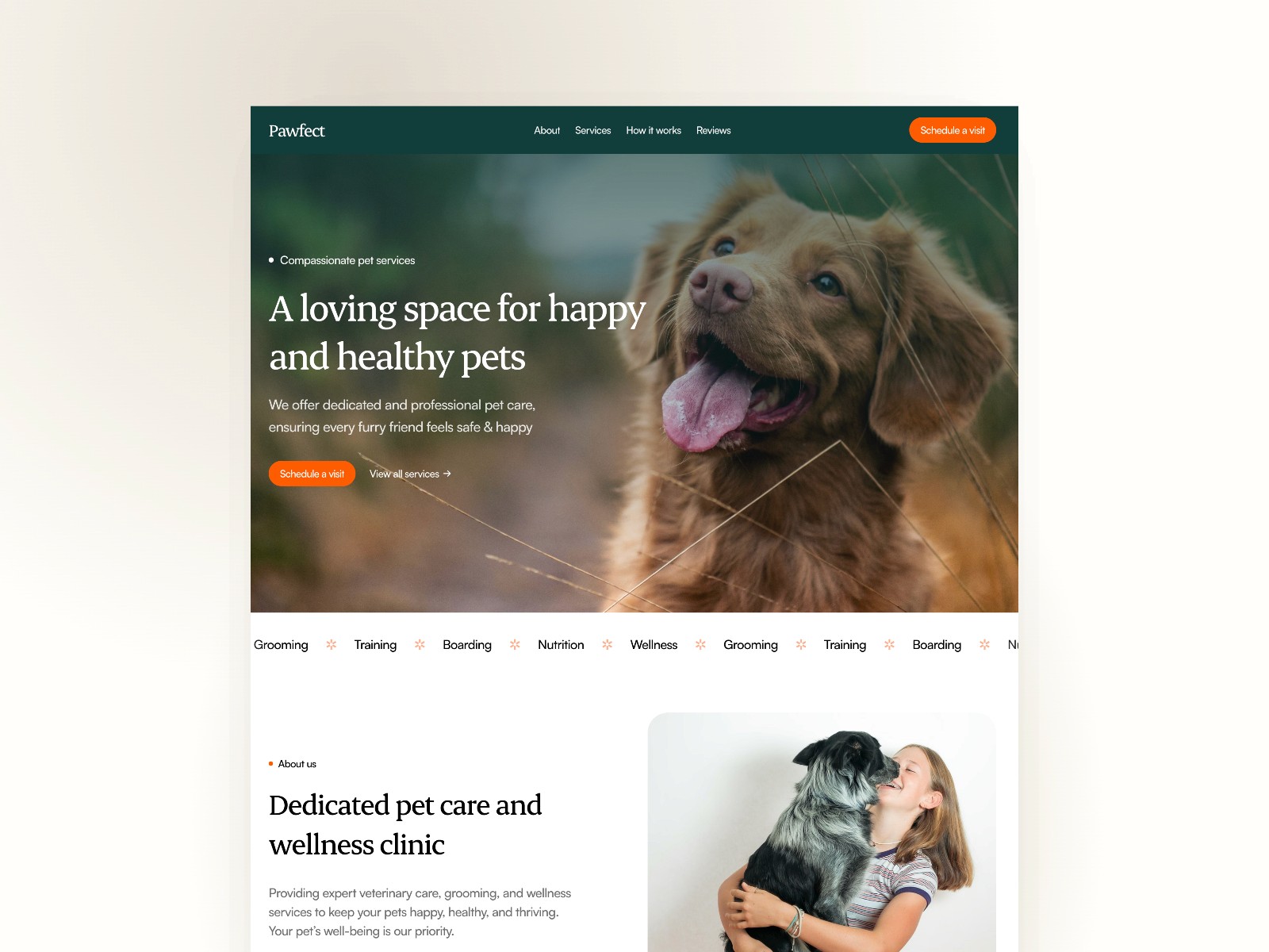 Pawfect — 医疗健康网站设计灵感