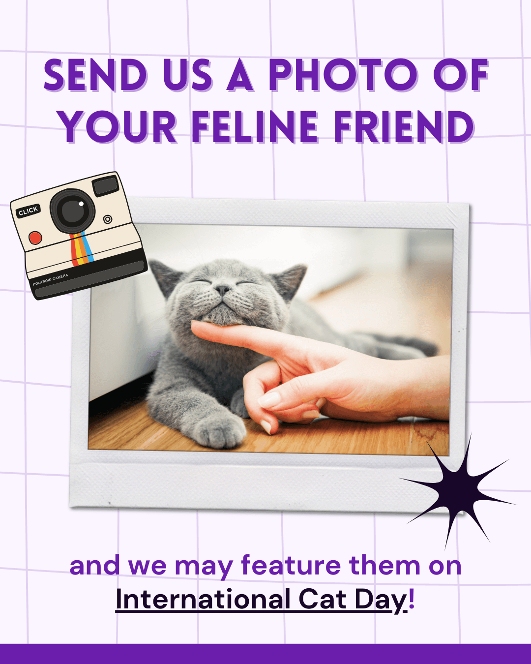 International Cat Day