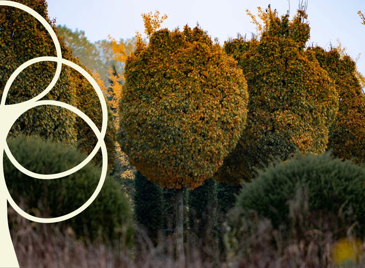 Handy auf dem eine Social Media Werbung zu sehen ist, wo sieh zwei Personen die Hand reichen.