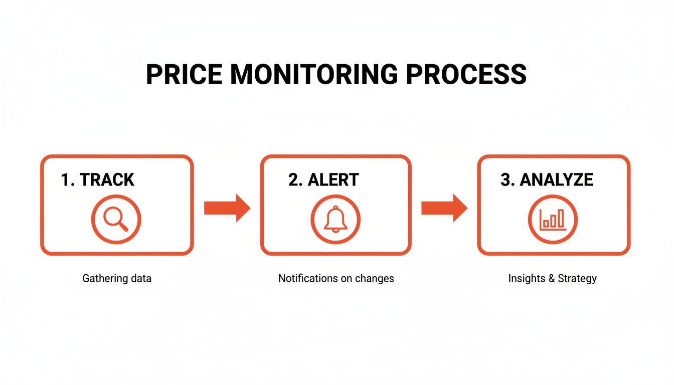 Workflow diagram showing the three steps of price monitoring: track data, alert on changes, and analyze for strategy.