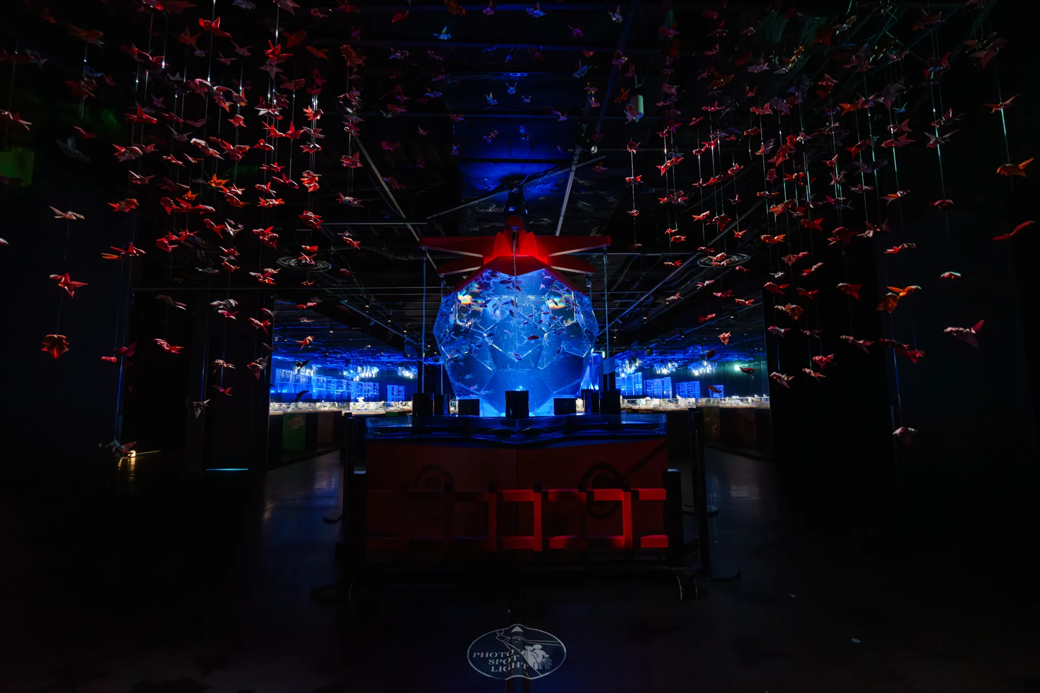 照明演出を取り入れたアート性の高いアクアリウム展示空間