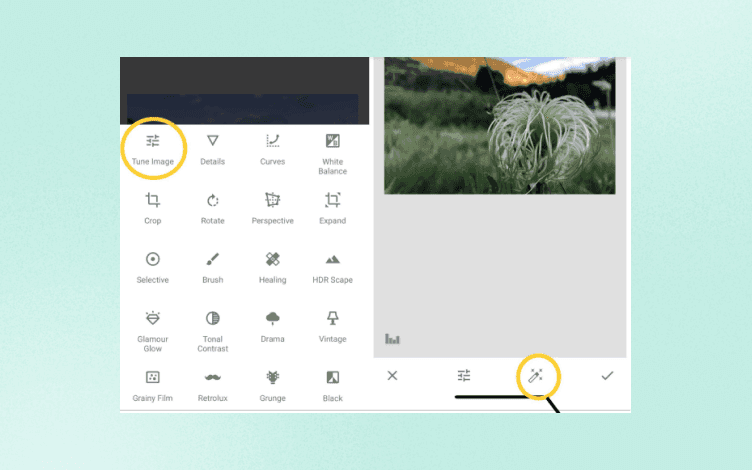 Snapseed features