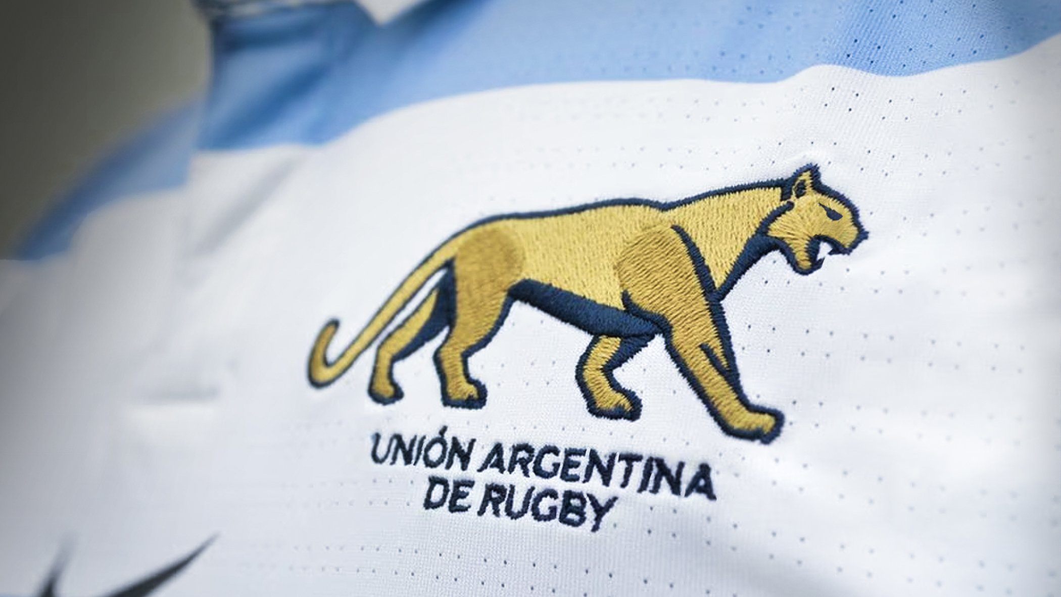 Logo of the Argentinean Rugby Union on a jersey